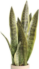XZJMY Fake Snake Plant 16.5″ Artificial Sansevieria for Home Green