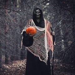 6Pcs Halloween Decoration Creepy Cloth Spooky Gauze Net 225 x 76CM Party decor