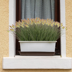 Ttranewsoo Artificial Grass, Fake Shrubs, Green12