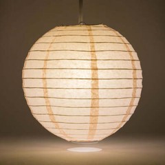 Quasimoon PaperLanternStore Decorative Paper Lantern – (10-Pack, 4-Inch, Rose…
