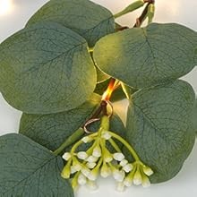 Christmas Decoration Indoor – 6FT Eucalyptus Garland with Timer, Artificial