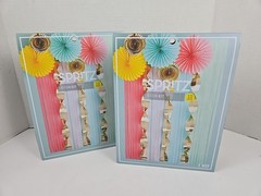 2 Spritz Party Pastel Decor Kits: 4 Backdrops 5 Fans & 3 Garlands NEW SEALED