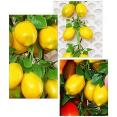 Simulation Artificial Fruit Lemon String for Restaurant Hotel Home Garden Decor