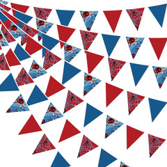 32Ft Hedgehog Birthday Party Decorations Red Blue Yellow and Golden Rings Triang