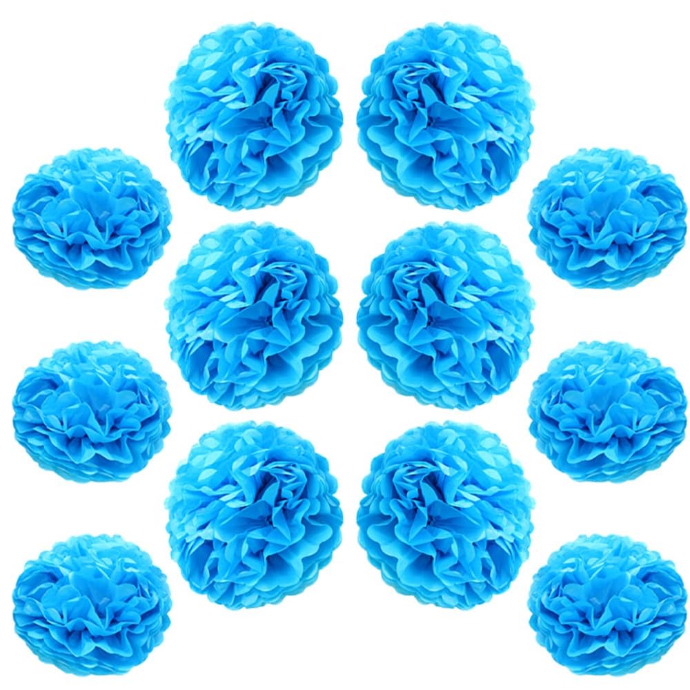 12 PCS Tissue Paper Pompoms Hanging Flowers Ball ZH/Sky Blue 10/12 Inch