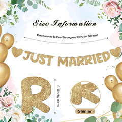 Pre Strung Just Married Banner Glitter Wedding Party Banner No DIY Just Married
