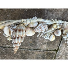Seashell garlands Coastal Shell wire decor nautical natural marine beach ocean 2
