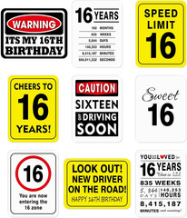 16Th Birthday Party Decorations – 9PCS Happy 16 Years Old Birthday Party Deco…