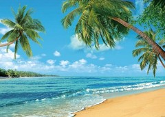 RUINI Polyester Tropical Beach Photography Backdrop Summer Palm 7x5FT, blue