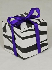 Small Gift Cubes Boxes for Party Favors 3.25″x3.25″ Zebra Table Decor