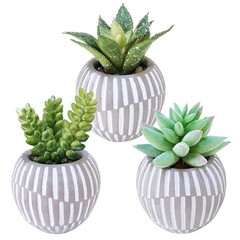 Winlyn Set of 3 Artificial Succulents Plants in Mini Gray and White Pots