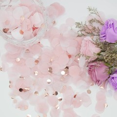1.76oz Round Tissue Confetti Glitter Rose Gold Pink White Party Decorations