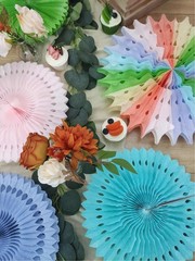 20 PCS Multi-Color Pastel Rainbow Paper Honeycomb Ball Fan Decor Party Supply