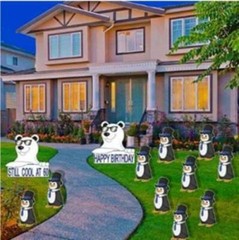 Birthday Yard Decoration – Still Cool At 60 – FREE SHIPPING