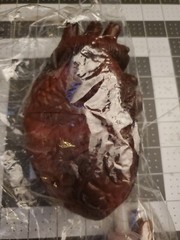 Halloween cut off Heart Prop with bottle of blood meat hook Life Size Chop Shop