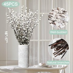 45 Stems 16＂Real Dried Pussy Willow Branches for Vase，100% Natural White