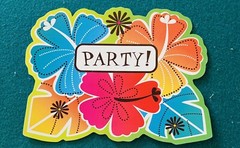 Party Invitations. 16 Fun Festive You’re Invited Party Invitations. Brand New!