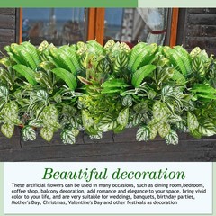 Cindeer 24 Pcs Artificial Flowers as shown in the picture, Vivid Color