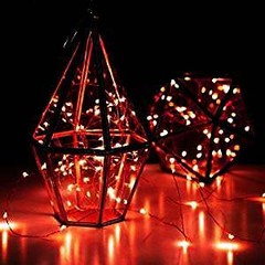 20 Red LED Fairy String Lights, Wire (6ft, Battery Operated)