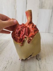 Broken leg Blood Bone Halloween prop decor
