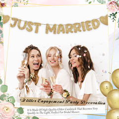 Pre Strung Just Married Banner Glitter Wedding Party Banner No DIY Just Married