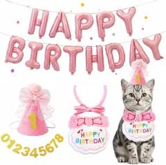 Tensho Cat B-Day Party Kit with Pink Hat, Bandana, Bowtie, Balloon & Banner | Nu