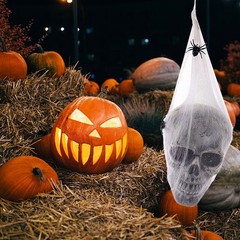 Halloween Animated Hanging Skulls Head Covered with Spider Webs JQ