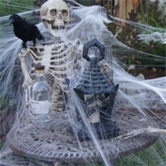 2 Pack Stretchable Spider Web + 2 Fake Spiders Halloween Party Decor Cobweb Prop