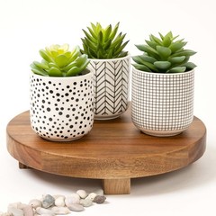 Kurrajong Farmhouse Artificial Succulents in 4.75″ high, Black White Green