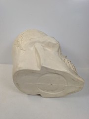 large Plastic Skull Head Scary Prop Skeleton 47cm L X 33CM W X 38CM D