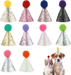 10 PCS Cat Birthday Hat Mini Party Hats for Stuffed Animals Mini Birthday Hats f
