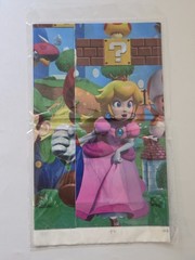 Super Mario Birthday Decorations Vinyl Backdrop Banner Both New In Package