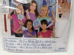 Frozen Birthday Party Decoration Frame and Cutout Photo Kit Plus Scene Props New