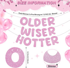 Set of 3 Pre Strung Older Wiser Hotter Glitter Banner Funny Birthday Banner for