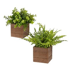 Vlorart Small Fake Plants, 2Pack Mini Potted Artificial Plastic Boxwood Fern