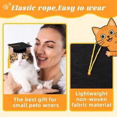 Mini Graduation Caps with Tassels 9 Pack Small Plush Toy Dog Decoration