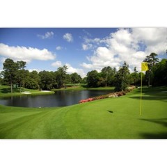 Golf Course Backdrop Woodland Green Grass Lawn Golf Flag Lake Sports Backgrou…