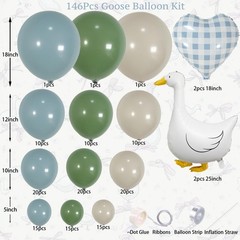 Silly Goose Balloon Arch Kit – Sage Green Dusty Blue Balloon Garland with Goo…