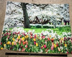 Backdrops Puppet Shows or Dollhouse Miniature Backdrops; 18 different scenes