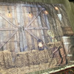 Western Cowboy Backdrop Cowboy Party Decor Large Tapestry Banner 43″x 69″