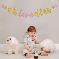Oh Twodles Banner – Happy 2Nd Birthday Party Decor for Girls – Cartoon Mouse The