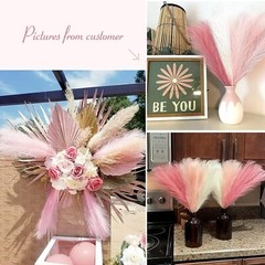 Serwalin Pampas Grass Pink Decor 17.7 17 Inch 6 Pcs, A Blush & Cream &