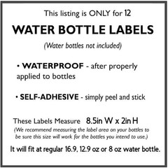 Princess Birthday Water Bottle Labels, Pink and Yellow Party Decorations, 12