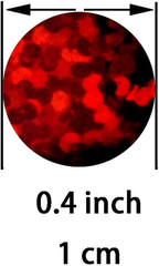 Sparkle Red Foil Metallic Round Table Confetti Decor Circle Dots Mylar Table Sca