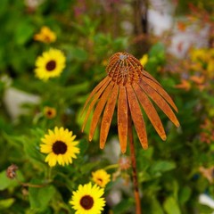 Bronze Rusted Echinacea Garden Stake Metal Art for Lawn and Flower Beds