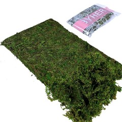 BYHER Artificial Moss Fake 10 inches x 4 x 3 inches, 3.5oz, Fresh