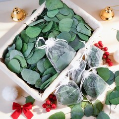 Dried Eucalyptus Leaves 500 Pcs 9oz 1.5-3″ Natural Decor – Wedding