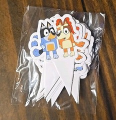 bluey birthday party decorations