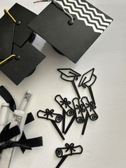 Graduation Party / Cake Decorations Supplies Bundle Table Cake Decor