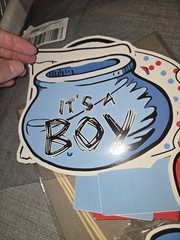 Baby Shower Cat in Hat theme banner